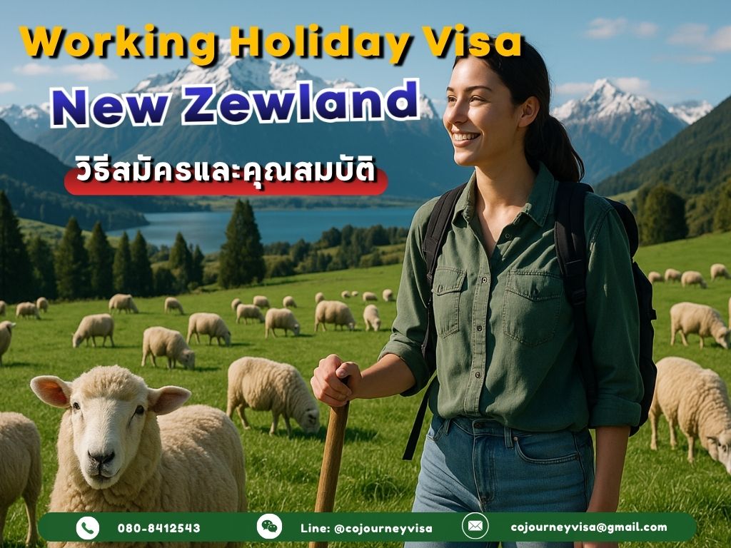 Working Holiday Visa นิวซีแลนด์ 2025 สมัครยังไง